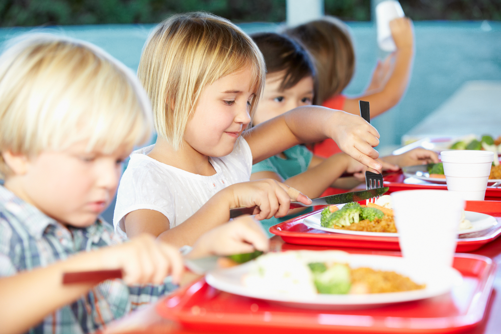 https://schoolnutrition.org/wp-content/uploads/2022/06/school-lunch.png