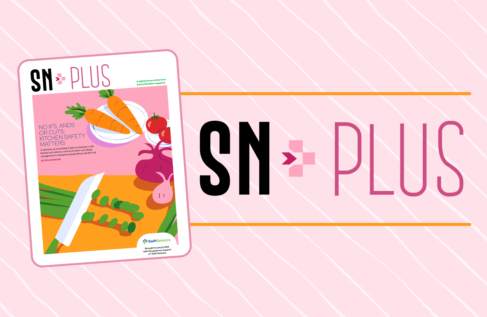 cover of SN Plus January 2026